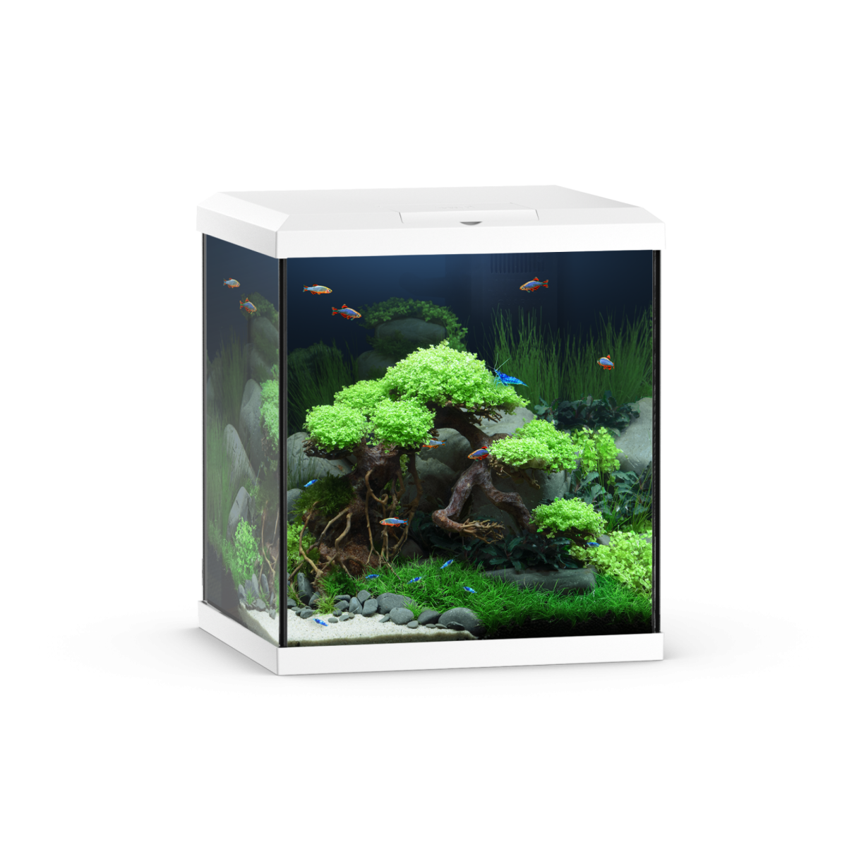 Vio Cube 54 White