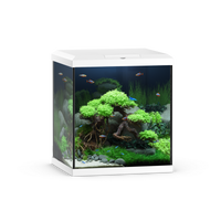 Vio Cube 54 White
