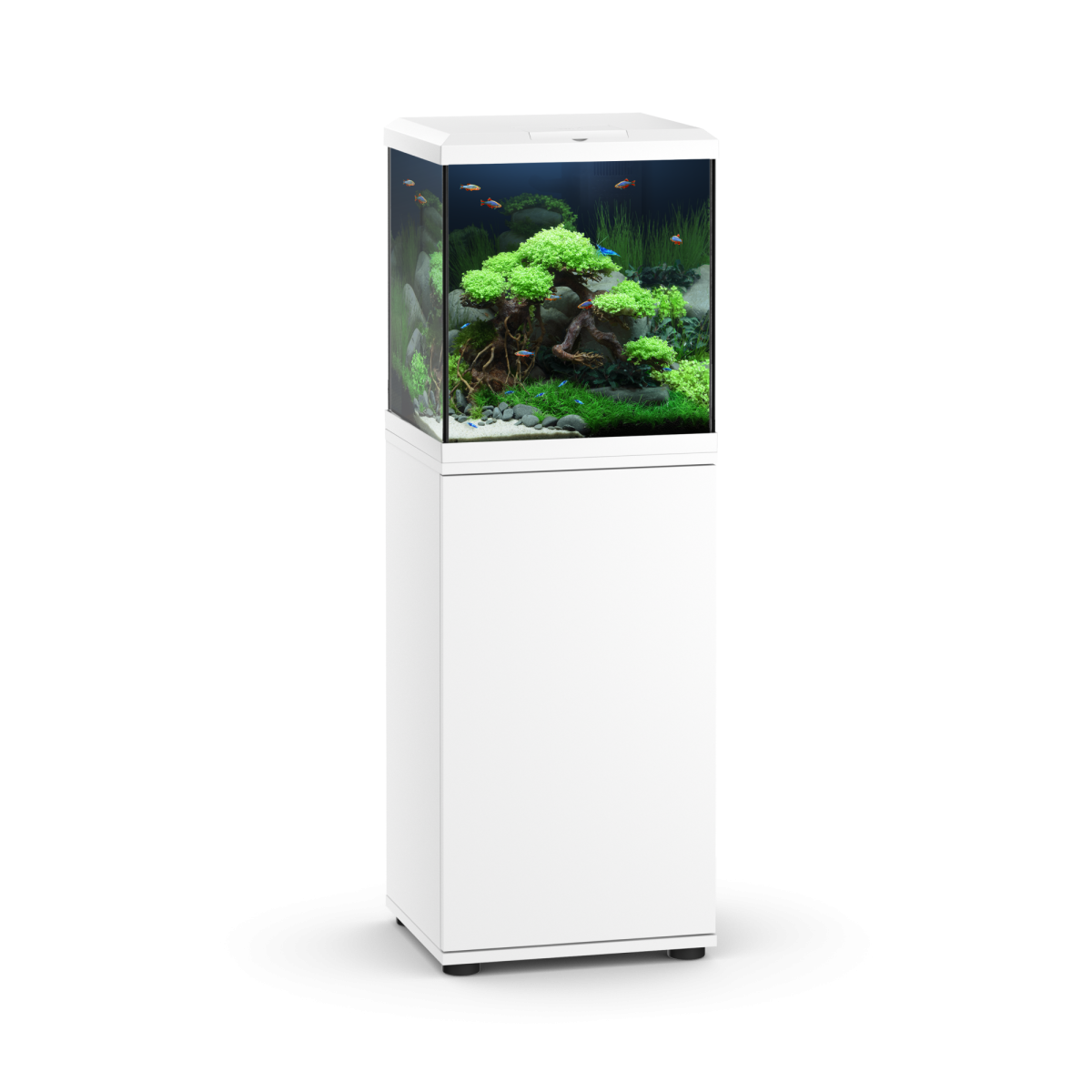 Vio Cube 54 White