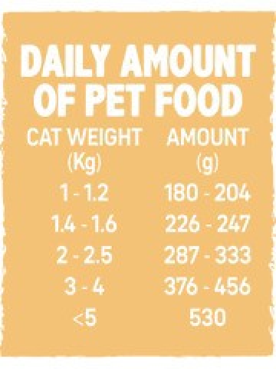Wet Food for Kittens Chicken, 6 x 100 g cans
