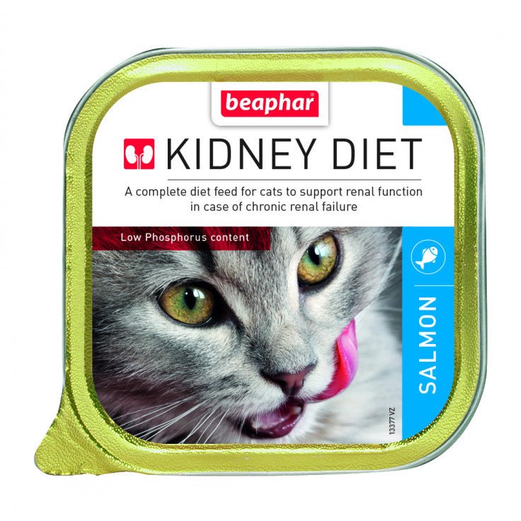WET FOOD - KIDNEY/RENAL DIET SALMON(16PCS X 100G) - Market