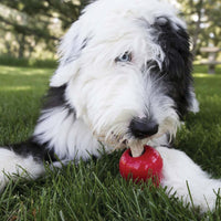 Thumbnail for Kong Ziggies Chicken Dog Treats -