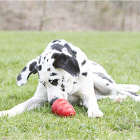 Thumbnail for Kong Stuff'n Sweet Potato Spread Dog Treats 140g - 140g