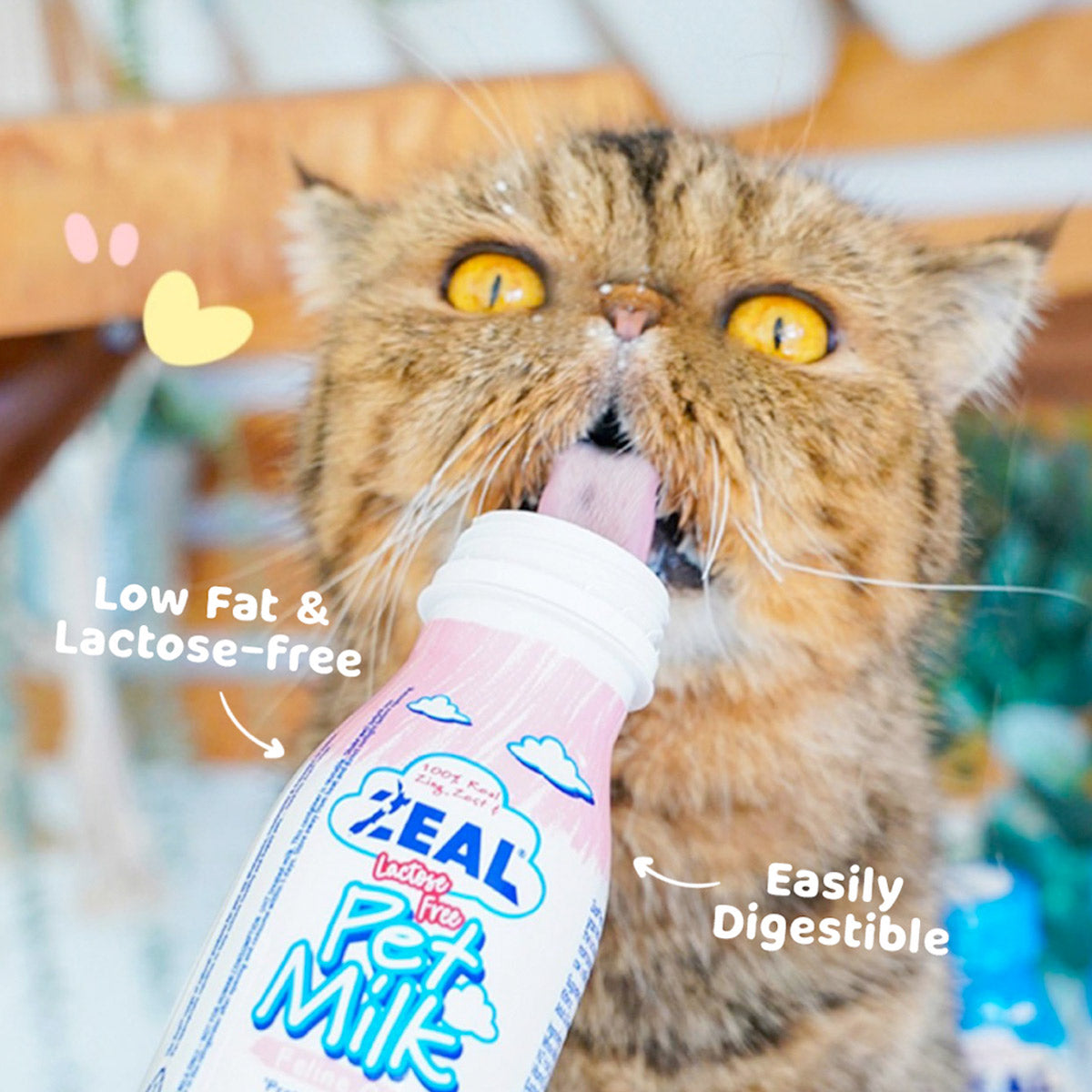 Zeal Feline Care Lactose-Free Pet Milk For Cats 255ml